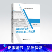 [正版]文23储气库建设注采工程实践 刘中云 编著 地下储气库 天然气开采 储气库建设9787511463548