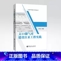 [正版]文23储气库建设注采工程实践 刘中云 编著 地下储气库 天然气开采 储气库建设9787511463548