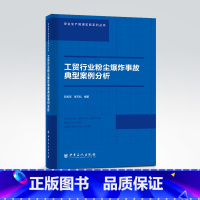 [正版]工贸行业粉尘爆炸事故典型案例分析 爆炸 工贸行业 安全生产管理实务系列丛书9787511466273