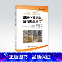 [正版]遗迹化石图集及油气勘探应用 化石,油气勘探,遗迹,地质 中国石化出版社 9787511465146