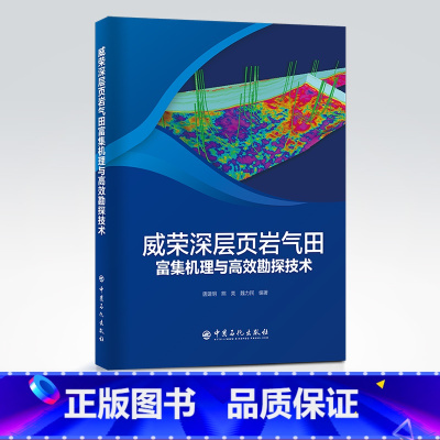 [正版]威荣深层页岩气田富集机理与高效勘探技术 深层页岩油,深层页岩气,砂岩油 气田,油气聚集,研究,内江,砂岩油气田