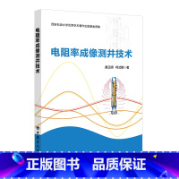 [正版]电阻率成像测井技术 中国石化出版社