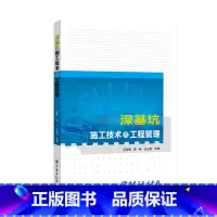 [正版]深基坑施工技术与工程管理 中国石化出版社