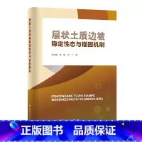 [正版]层状土质边坡稳定性态与锚固机制 中国石化出版社