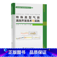 [正版]特殊类型气田高效开发技术与实践 中国石化出版社
