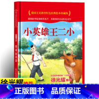 小英雄王二小 [正版]爱国主义教育红色经典绘本系列珍藏版全套30册中国红色故事绘本幼儿园阅读精装硬壳书儿童幼儿鸡毛信狼牙
