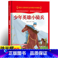 少年英雄小骑兵 [正版]爱国主义教育红色经典绘本系列珍藏版全套30册中国红色故事绘本幼儿园阅读精装硬壳书儿童幼儿鸡毛信狼