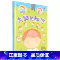 大脑的秘密 [硬壳 A4开本] [正版]幼儿园硬壳硬皮精装绘本关于保护牙齿的绘本保护身体系列 关于身体的绘本 科普百科