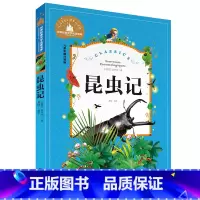 昆虫记 [正版]小学生一二年级三年级课外阅读书籍昆虫记木偶奇遇记儿童版四大名著注音版小学生6-8-10岁童话故事书世界经