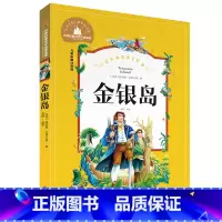 金银岛 [正版]小学生一二年级三年级课外阅读书籍昆虫记木偶奇遇记儿童版四大名著注音版小学生6-8-10岁童话故事书世界经