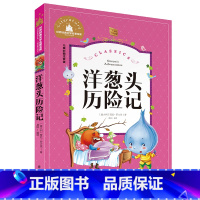 洋葱头历险记 [正版]小学生一二年级三年级课外阅读书籍昆虫记木偶奇遇记儿童版四大名著注音版小学生6-8-10岁童话故事书