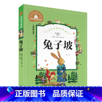 兔子坡 [正版]小学生一二年级三年级课外阅读书籍昆虫记木偶奇遇记儿童版四大名著注音版小学生6-8-10岁童话故事书世界经