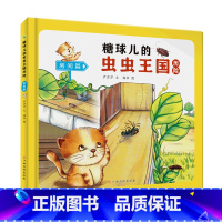房间篇 [正版]糖球儿的虫虫王国历险(6册)可以单发 精装硬壳绘本彩绘版 幼儿园阅读昆虫科学图画书 3-6岁幼儿童早教启