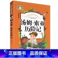 汤姆索亚历险记 [正版]小学生一二年级三年级课外阅读书籍昆虫记木偶奇遇记儿童版四大名著注音版小学生6-8-10岁童话故事