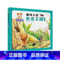 大树篇 [正版]糖球儿的虫虫王国历险(6册)可以单发 精装硬壳绘本彩绘版 幼儿园阅读昆虫科学图画书 3-6岁幼儿童早教启