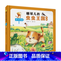 草地篇 [正版]糖球儿的虫虫王国历险(6册)可以单发 精装硬壳绘本彩绘版 幼儿园阅读昆虫科学图画书 3-6岁幼儿童早教启