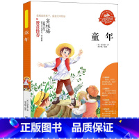 童年 [正版]小学生骆驼祥子呼兰河传童年增广贤文中外神话故事昆虫记假如给我三天光明绿山墙的安妮柳林风声中国古代寓言故事中