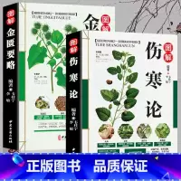 [正版]2册 伤寒论张仲景 金匮要略 中医入门零基础学 中医四大经典名著 医学类全书书伤寒杂病论伤感