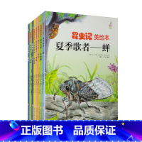 任选5册 [正版]昆虫绘美绘本夏季歌者(8册)可以单发 儿童绘本科普百科 精装硬壳硬皮 3-6岁儿童阅读 亲子阅读幼儿早