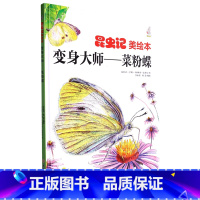 变身大师菜粉蝶 [正版]昆虫绘美绘本变身大师 儿童绘本科普百科精装硬壳硬皮 3-6岁儿童阅读 亲子阅读幼儿早教启蒙科普绘
