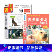 [正版]养狗书籍全2册 图解狗+养犬训犬与犬病防治 宠物狗喂养书籍 养狗大全入门训狗教程书驯犬手册 宠物狗驯养技法养狗书