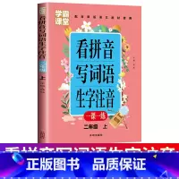 [正版]看拼音写词语二年级上册 人教版默写能手小达人小学2年级上册同步训练语文拼音专项训练看图说话写话写字课拼写本生字组