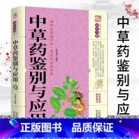 [正版]中草药鉴别与应用中草药知识中药养生家庭医生中药材饮片鉴别应用