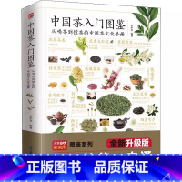 [正版]中国茶入门图鉴从喝茶到懂茶的中国茶文化手册茶文化饮食文化类中国茶经大观品茶图典茶道茶艺大观爱上花草茶