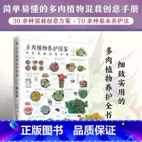[正版]多肉植物养护图鉴 肉肉混载创意手册 多肉选苗混栽 阳台种花养殖 新手养多肉装饰养护技巧指南书籍