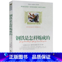 [正版]选4本44元 钢铁是怎样炼成的 原著青少年版五七八六年级初高中生世界名著课外书籍 奥斯特洛夫斯基著 文学作品