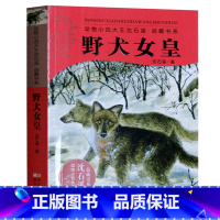 [正版] 野犬女皇 沈石溪动物小说大王 品藏书系 儿童文学7-8-9-10岁 小学生一二三四五年级课外书籍 少儿文学小说