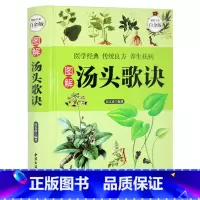 [正版] 汤头歌诀 白话解彩图版 选录中医常用方剂300余方 中医方剂学 中药书 中草药详解古典药方书籍 民间家庭养生偏