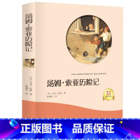 [正版]选4本32元汤姆索亚历险记 马克吐温原著 小学生四五六年级初中 汤姆索亚历险记 无障碍阅读 青少年课外书籍 世界