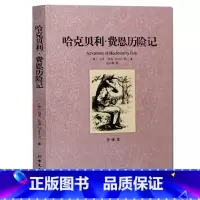 [正版] 哈克贝利.费恩历险记 一部可以与堂吉诃德、浮士德、哈姆莱特相比的作品,无删节全译本马克吐温著 世界文学名著
