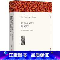 [正版] 钢铁是怎样炼成的 中文版 全译本 初中生 原著全本无删节 青少年中学生课外小说 世界文学名著 课外阅读读物