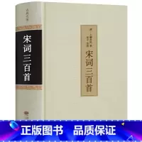 [正版]精装 宋词三百首 全解精选 中国古诗词书籍 全宋词鉴赏词典辞典赏析 唐诗宋词选集古代古典诗词 古典文学全注全译