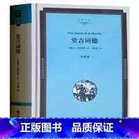[正版]堂吉诃德 精装全译本 国外名著原版无删减 中小学生课外读物世界经典文学名著书籍书 堂吉诃德