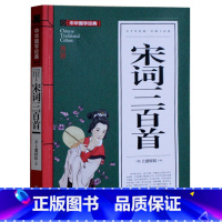 [正版]宋词三百首全集全解 无障碍阅读 国学经典启蒙诵读 高中初中学生9-12-13-14-15周岁小学生小学版课外读物