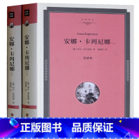 [正版] 安娜卡列尼娜 上下 无删节列夫托尔斯泰 著 精装全译本 初中高中中小学生课外读物 外国经典世界文学名著书籍 畅