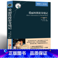 [正版] 爱丽丝漫游奇境记 英文原版+中文版 英汉对照图书 中英文双语世界文学名著小说 中学生高中学生版课外读物英语原著