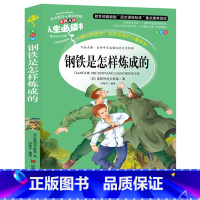 [正版] 钢铁是怎样炼成的 人生书 小学生课外书读物7-10-12岁儿童文学故事书籍 钢铁是怎么炼成的原著 初中青少年版