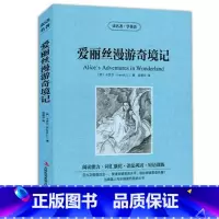 [正版] 读名著学英语 爱丽丝漫游奇境记全集 中英文对照 双语读物 世界名著英汉对照青少年版提高英文阅读能力 书籍