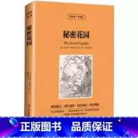 [正版]读名著学英语 秘密花园 与美国人同步阅读的英语丛书 终身学习版 阅读能力强化 语法巩固短语训练