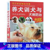 [正版] 养犬训犬与犬病防治 养狗书籍训狗教程书训狗 宠物驯犬手册 狗(认识你爱的宠物) 病犬犬训犬防治与养 家庭养犬饲