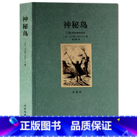 [正版]神秘岛 全译本无删节 凡尔纳 著 原著原版中文版 世界文学名著 科幻小说 北方文艺出版社