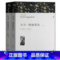 [正版]足本无删减大卫·科波菲尔( 上下)全套2册 狄更斯 全译本中文版 世界经典文学名著小说书籍 大卫科波菲尔青少年版