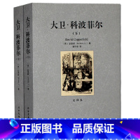 [正版]大卫·科波菲尔(上下) 全译本无删节 狄更斯 原版原著中文版 初中高中成人版 世界文学名著 北方文艺出版社