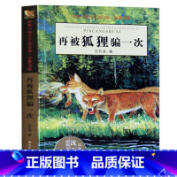 [正版] 再被狐狸骗一次 沈石溪动物小说 品藏书系 青少年课外启发读物教辅 7-9-10-12-15岁中小学生中国儿童文