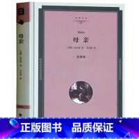 [正版] 母亲 高尔基著 精装全译本原版无删减中文版青少版 母亲高尔基《母亲》书世界名著书籍 世界经典名著小说书籍
