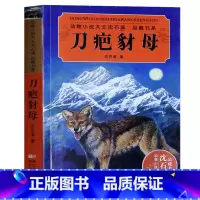 [正版] 刀疤豺母 沈石溪品藏书系 动物小说大王 精选动物小说 儿童文学书籍11-12-14岁 中小学生3-5-6年级青